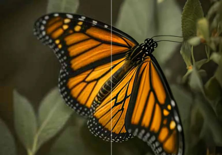 Topaz Image Upscale API