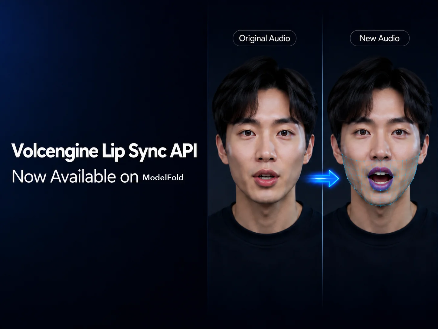 Volcengine Video-to-Video Lip Sync API